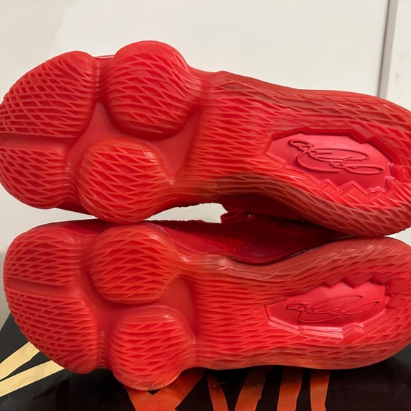 Lebron 17 Red Carpet - Picture 4 of 5